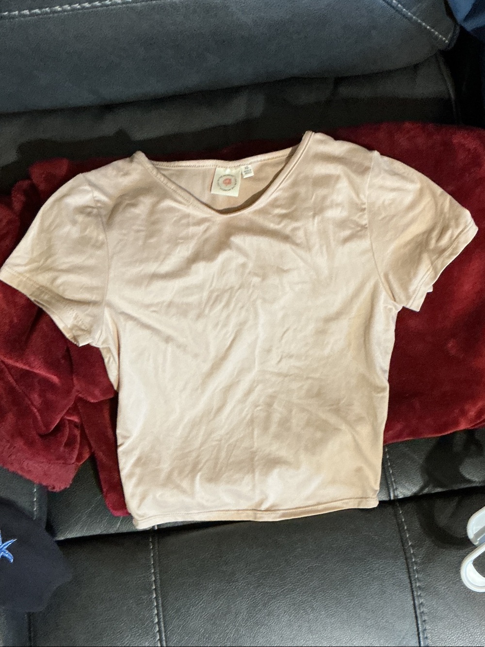 Cropped Short Sleeve V-Neck Top in Light Beige